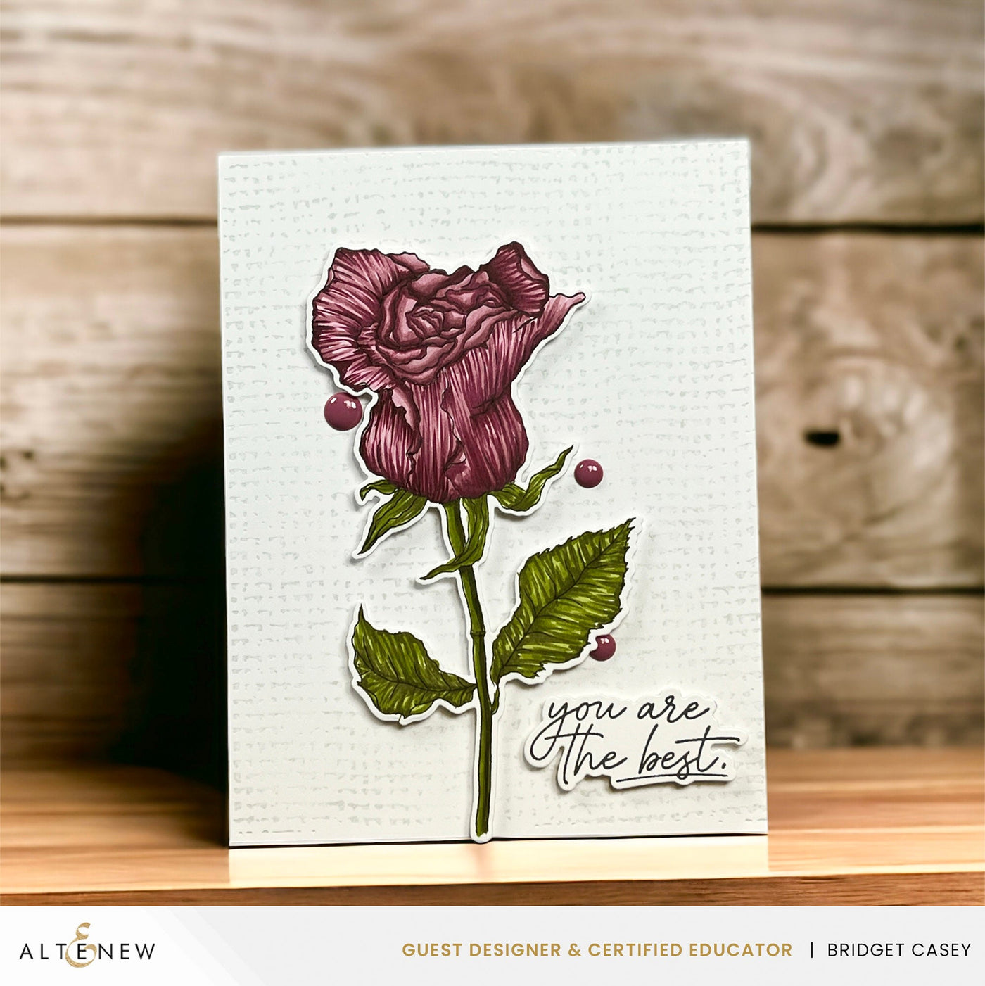 Stamp & Die Bundle Rustic Rose