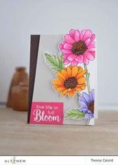 Stamp & Die Bundle Spring Daisy