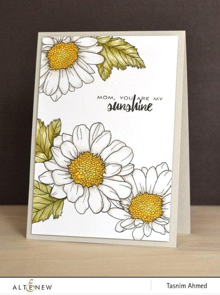 Stamp & Die Bundle Spring Daisy