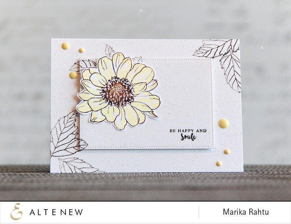 Stamp & Die Bundle Spring Daisy