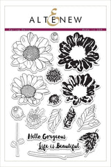 Stamp & Die Bundle Spring Daisy