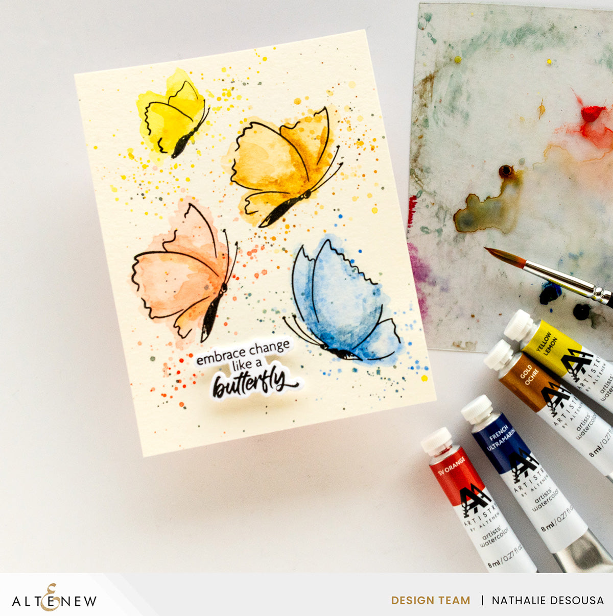 Stamp & Die Bundle Stamp & Paint Butterflies