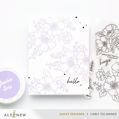 Stamp & Die Bundle Stamp & Paint: Charming Clusters