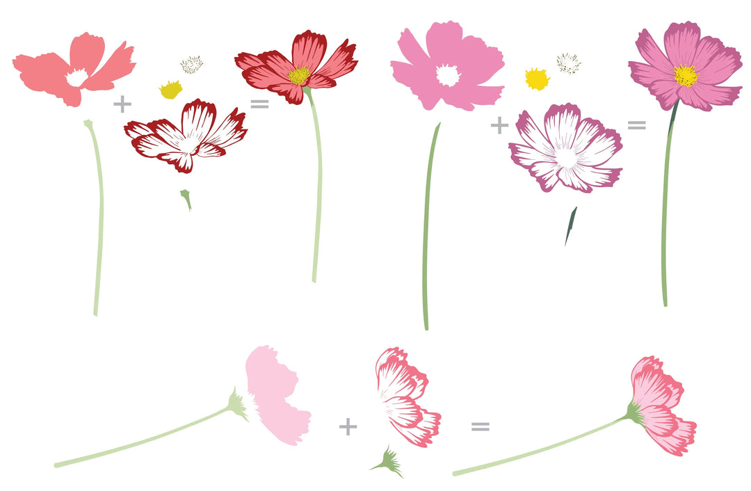 Stamp & Die Bundle Stunning Cosmos