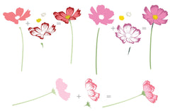Stamp & Die Bundle Stunning Cosmos