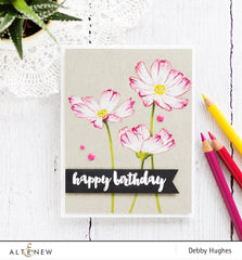 Stamp & Die Bundle Stunning Cosmos