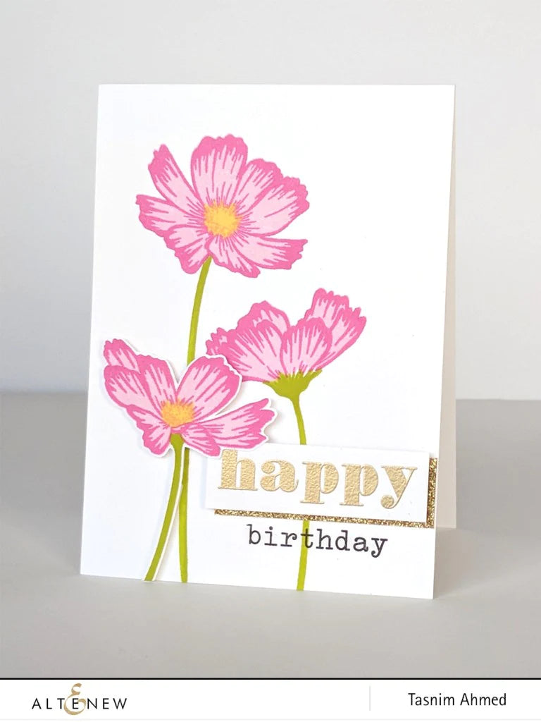 Stamp & Die Bundle Stunning Cosmos