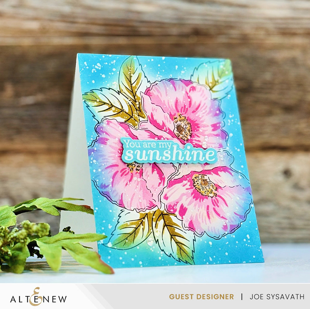 Stamp & Die Bundle Sunny Sentiments