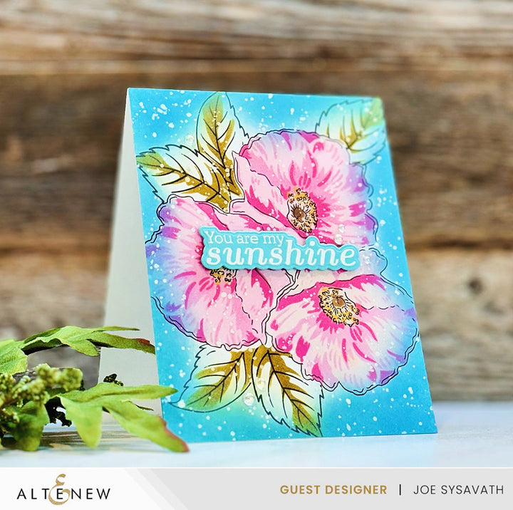 Stamp & Die Bundle Sunny Sentiments