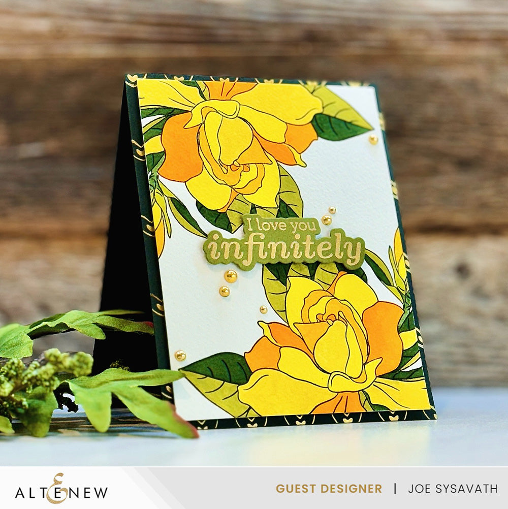 Stamp & Die Bundle Sunny Sentiments