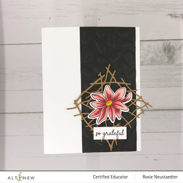 Stamp & Die Bundle Sunshine Bloom