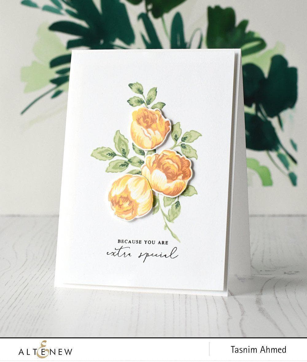 Stamp & Die Bundle Sweet Rose Bouquet