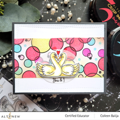 Stamp & Die Bundle Sweet Swans