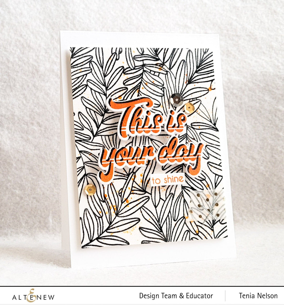 Stamp & Die Bundle This Is Your Day