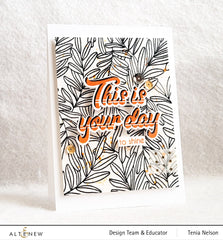 Stamp & Die Bundle This Is Your Day
