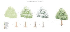 Stamp & Die Bundle Tree Of Fantasy