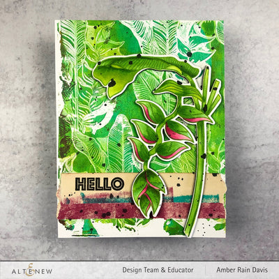 Stamp & Die Bundle Tropical Jungle