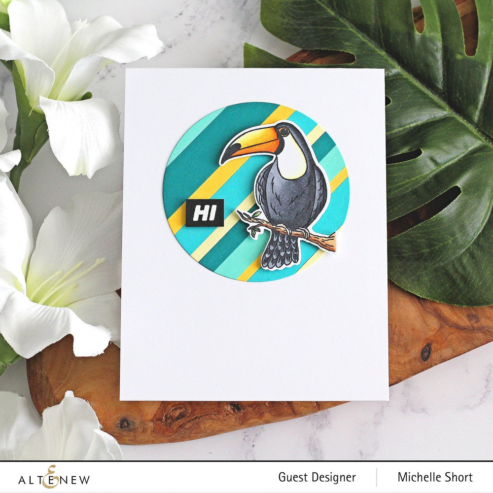 Stamp & Die Bundle Tropical Toucan