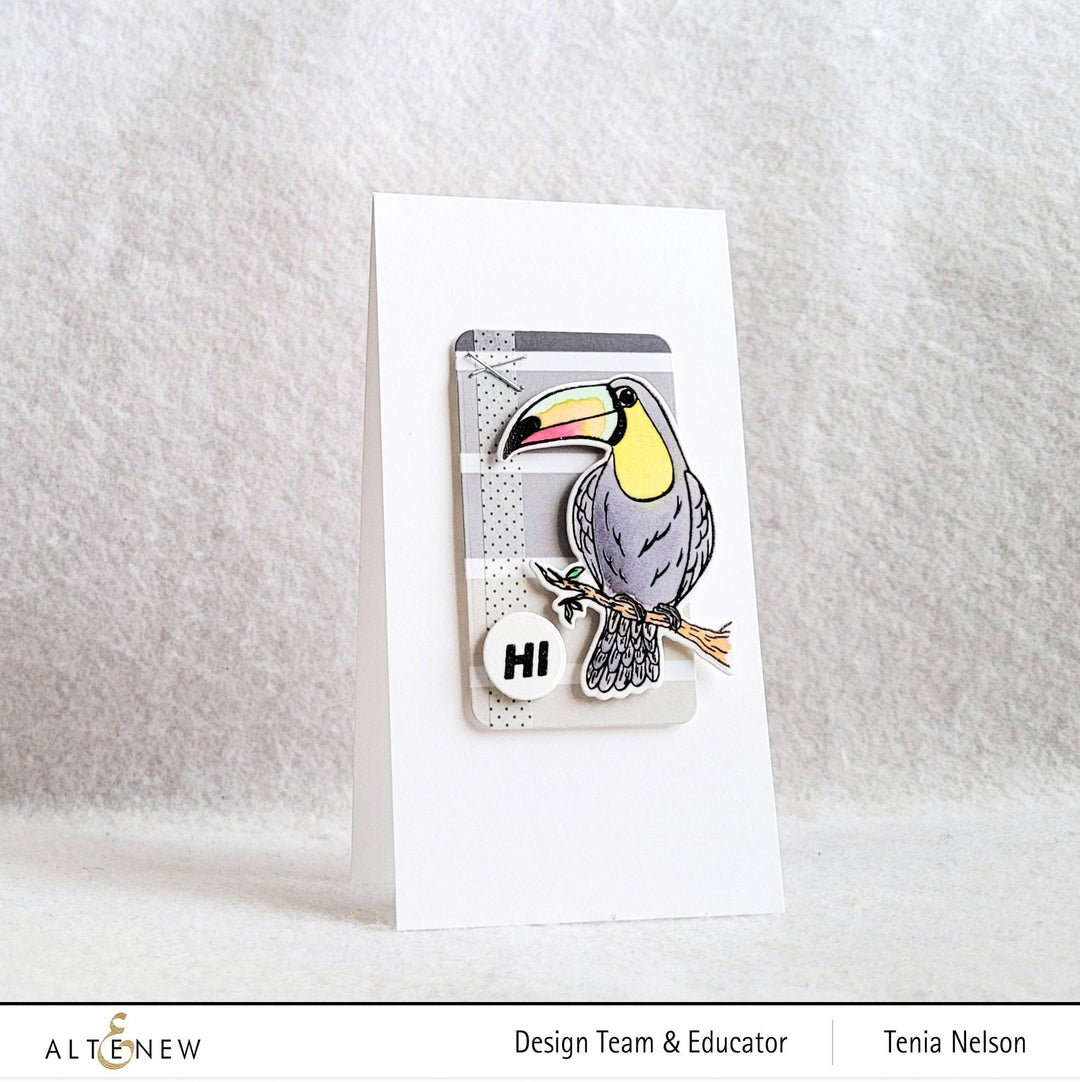 Stamp & Die Bundle Tropical Toucan