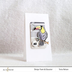 Stamp & Die Bundle Tropical Toucan