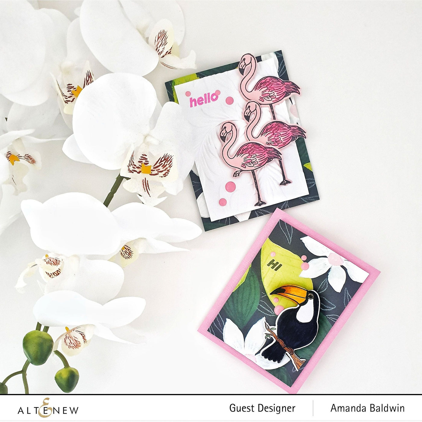 Stamp & Die Bundle Tropical Toucan