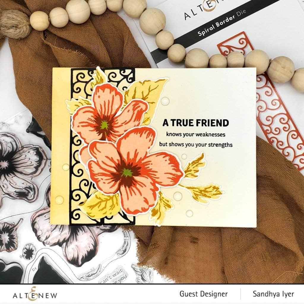 Stamp & Die Bundle Whirlwind Flowers