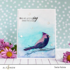 Stamp & Die Bundle Winter Cardinal
