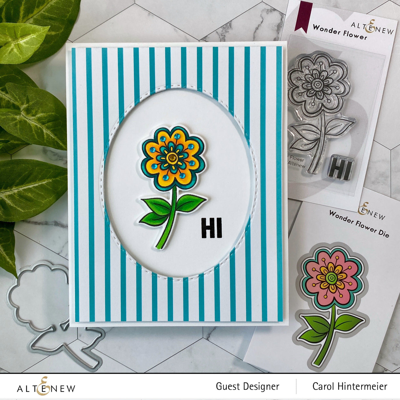 Stamp & Die Bundle Wonder Flower