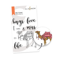 Stamp & Die & Embossing Folder Bundle Desert Life