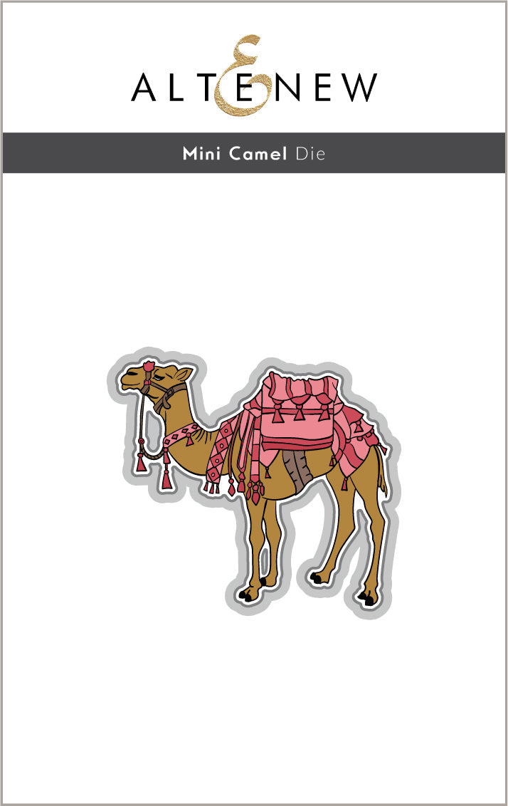 Stamp & Die & Embossing Folder Bundle Desert Life