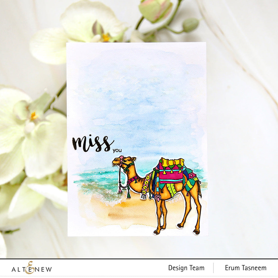 Stamp & Die & Embossing Folder Bundle Desert Life