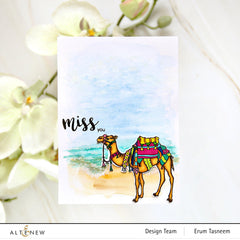 Stamp & Die & Embossing Folder Bundle Desert Life