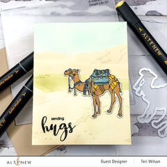 Stamp & Die & Embossing Folder Bundle Desert Life