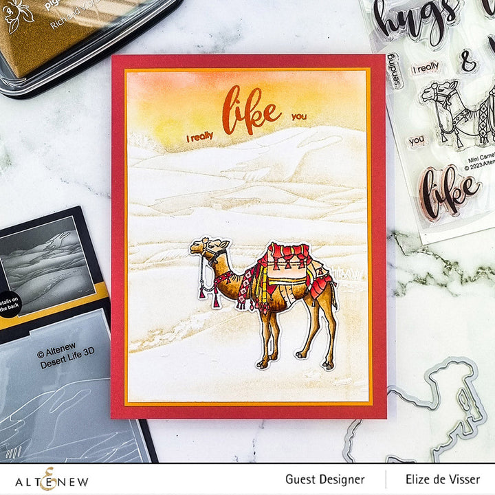 Stamp & Die & Embossing Folder Bundle Desert Life