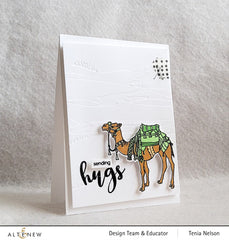 Stamp & Die & Embossing Folder Bundle Desert Life