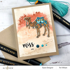 Stamp & Die & Embossing Folder Bundle Desert Life