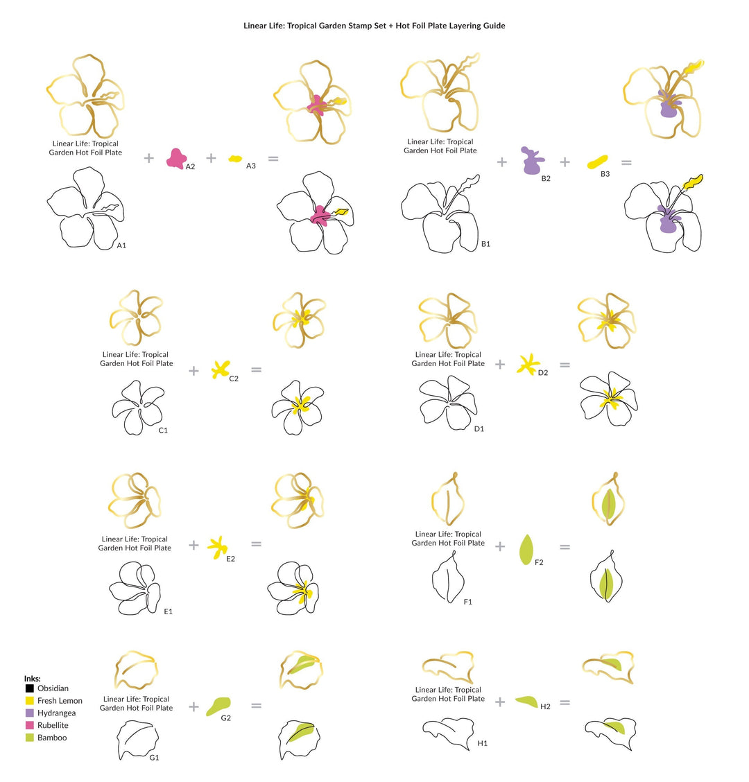 Stamp & Die & Hot Foil Plate Bundle Linear Life: Tropical Garden