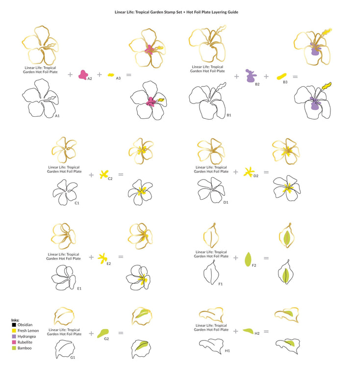 Stamp & Die & Hot Foil Plate Bundle Linear Life: Tropical Garden