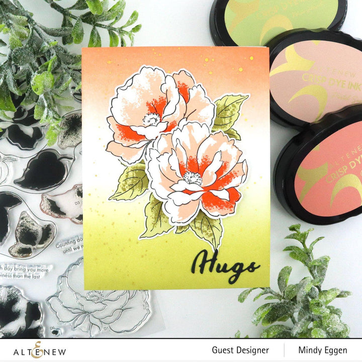 Stamp & Die & Stencil Bundle Airbrushed Flowers