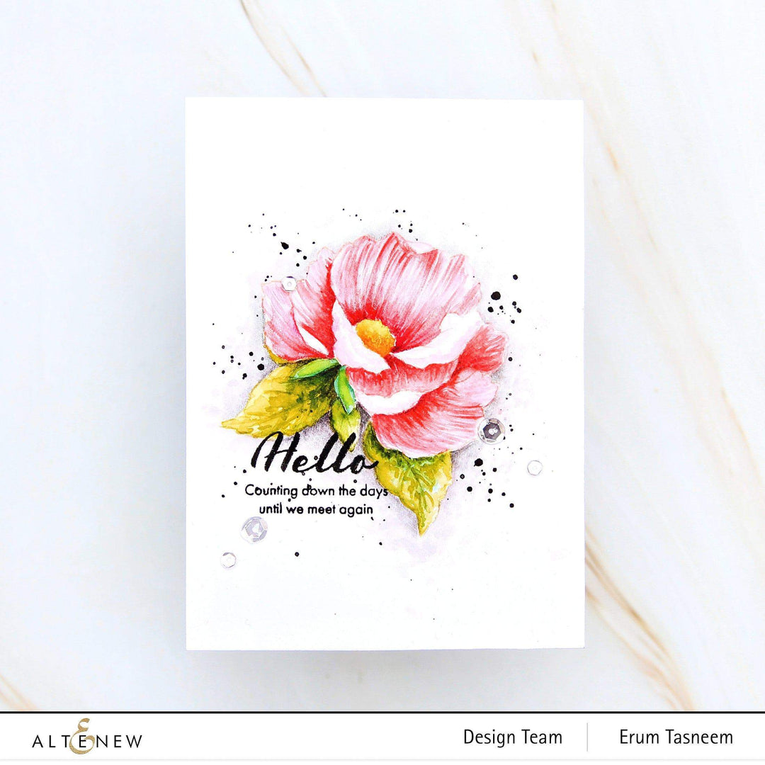 Stamp & Die & Stencil Bundle Airbrushed Flowers