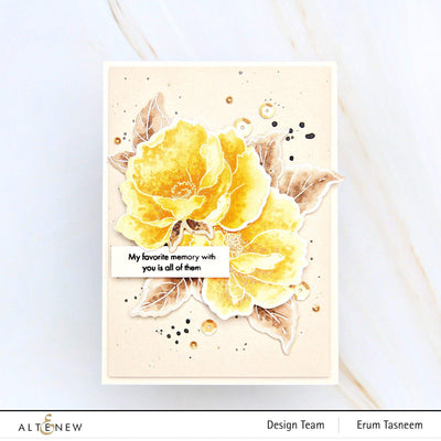 Stamp & Die & Stencil Bundle Airbrushed Flowers