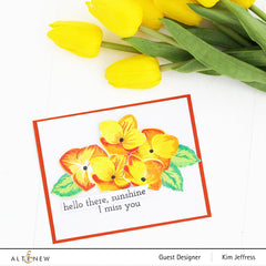 Stamp & Die & Stencil Bundle Basic Blooms