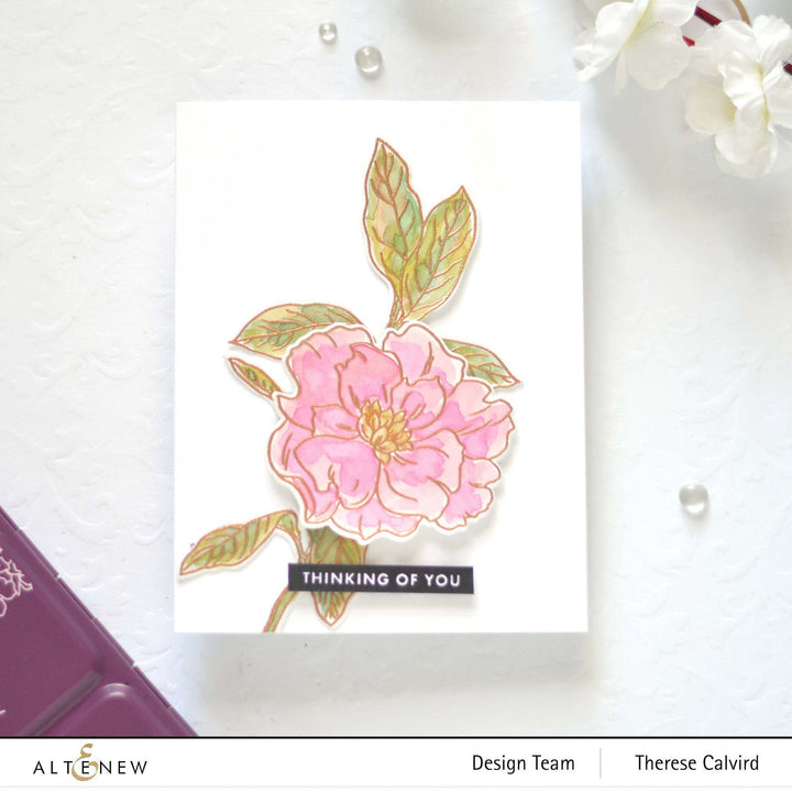 Stamp & Die & Stencil Bundle Botanical Illustrations