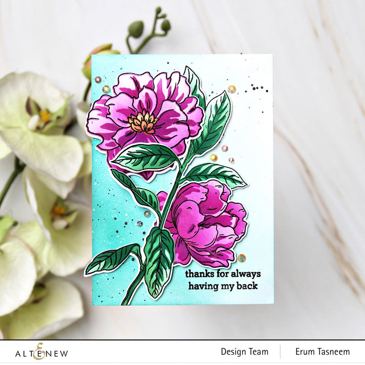 Stamp & Die & Stencil Bundle Botanical Illustrations