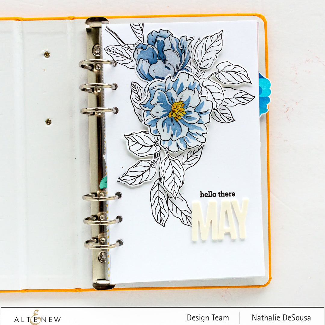 Stamp & Die & Stencil Bundle Botanical Illustrations