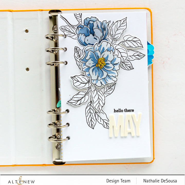 Stamp & Die & Stencil Bundle Botanical Illustrations