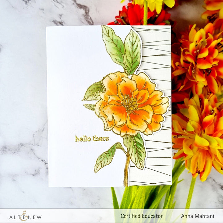 Stamp & Die & Stencil Bundle Botanical Illustrations