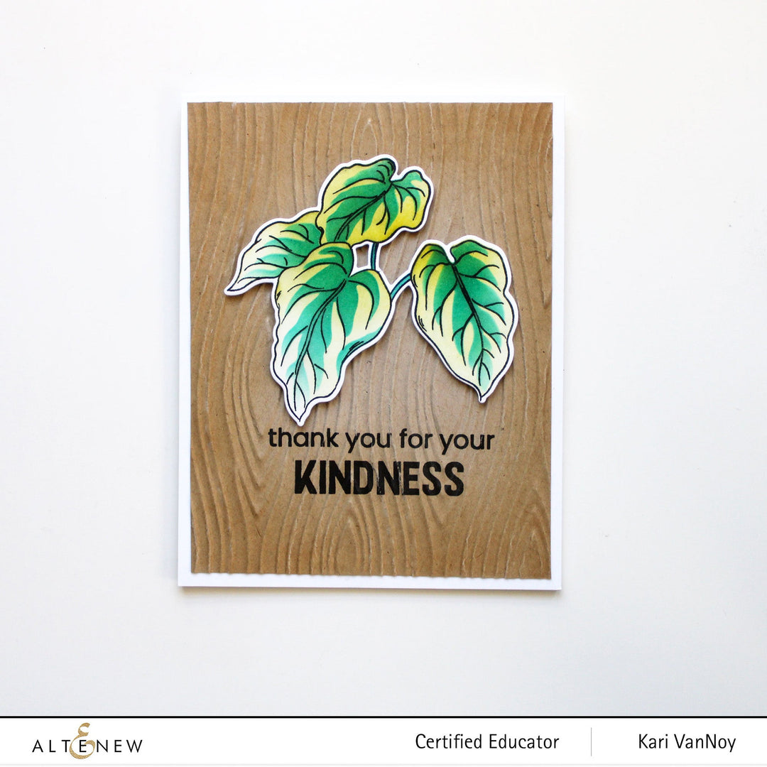 Stamp & Die & Stencil Bundle Botanical Illustrations