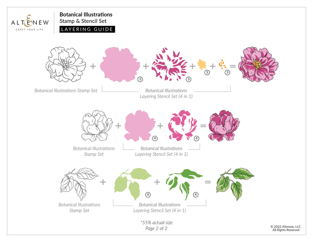 Stamp & Die & Stencil Bundle Botanical Illustrations