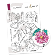 Stamp & Die & Stencil Bundle Botanical Illustrations